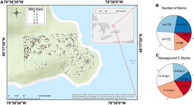 Beech Bark Disease in an Unmanaged Temperate Forest: Patterns, Predictors, and Impacts on Ecosystem Function